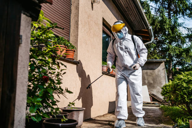 Pest Control for Restaurants in Meadow Lake, NM