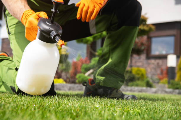 Best Best Pest Control Companies  in Meadow Lake, NM