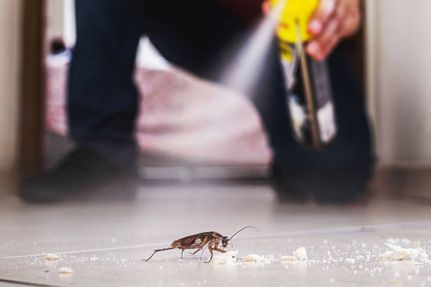 Best Best Pest Control Companies  in Meadow Lake, NM